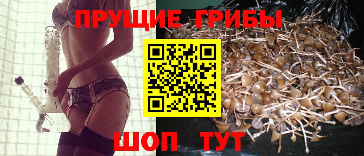 Десногорск  Галлюциногенные грибы мицелий  Галлюциногенные грибы прущие грибы  Вход с VPN 